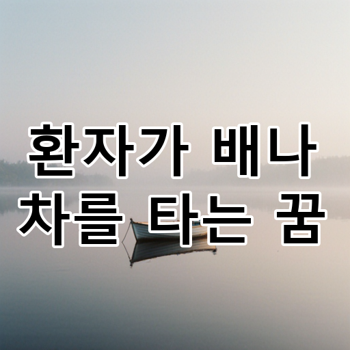 환자가 배나 차를 타는 꿈 대표 이미지