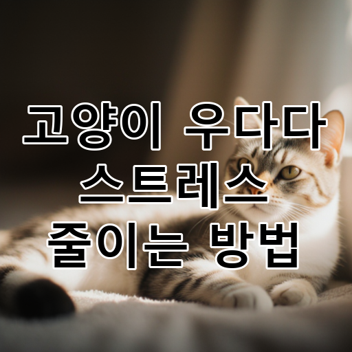 고양이 우다다 스트레스 줄이는 방법 대표 이미지