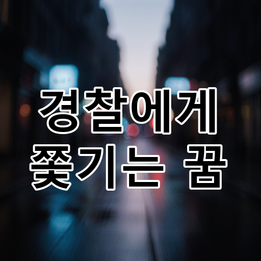 경찰에게 쫓기는 꿈 대표 이미지