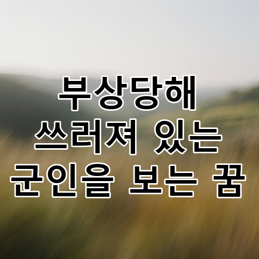 부상당해 쓰러져 있는 군인을 보는 꿈 대표 이미지