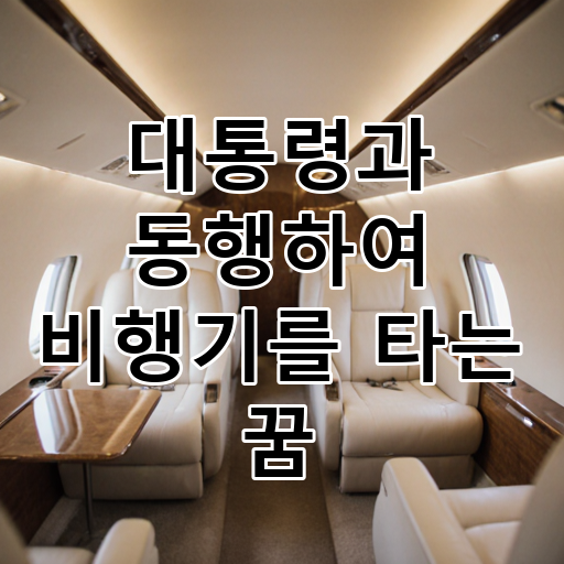 대통령과 동행하여 비행기를 타는 꿈 대표 이미지