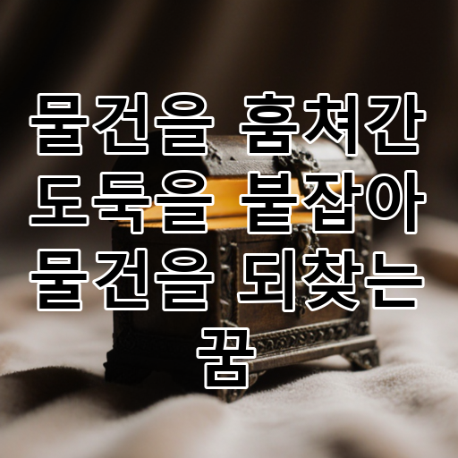 물건을 훔쳐간 도둑을 붙잡아 물건을 되찾는 꿈 대표 이미지