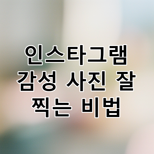 인스타그램 감성 사진 잘 찍는 비법 대표 이미지