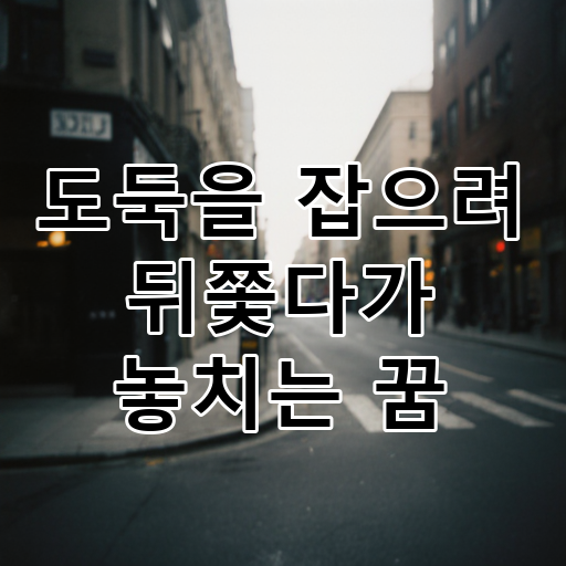 도둑을 잡으려 뒤쫓다가 놓치는 꿈 대표 이미지