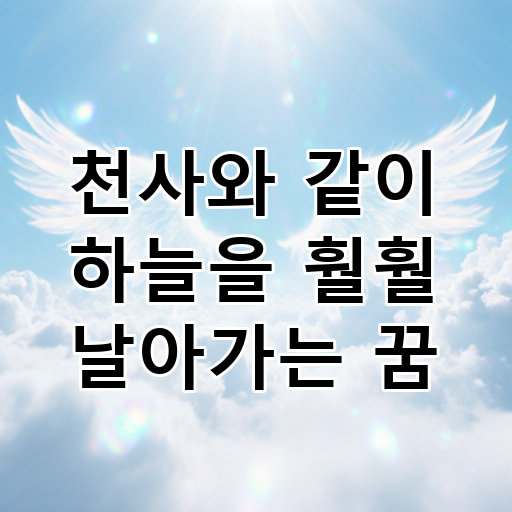 천사와 같이 하늘을 훨훨 날아가는 꿈 대표 이미지