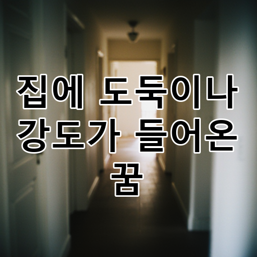 집에 도둑이나 강도가 들어온 꿈 대표 이미지