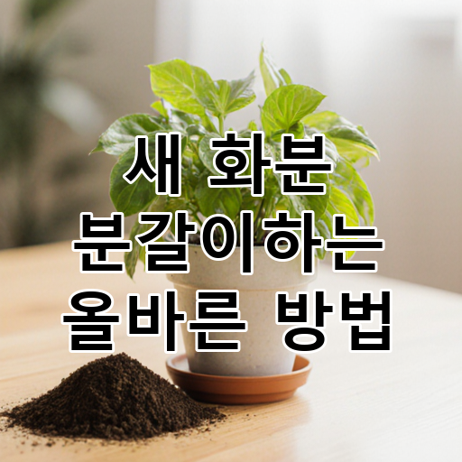 새 화분 분갈이하는 올바른 방법 대표 이미지